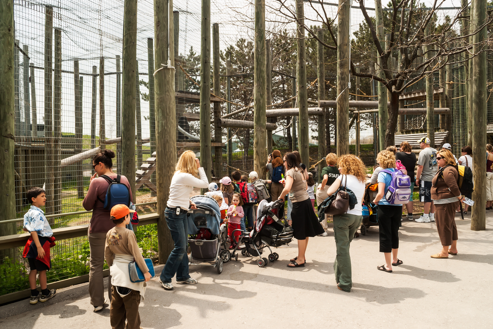  Parents With Children Visiting Toronto Zoo, Largest Zoo In Canada