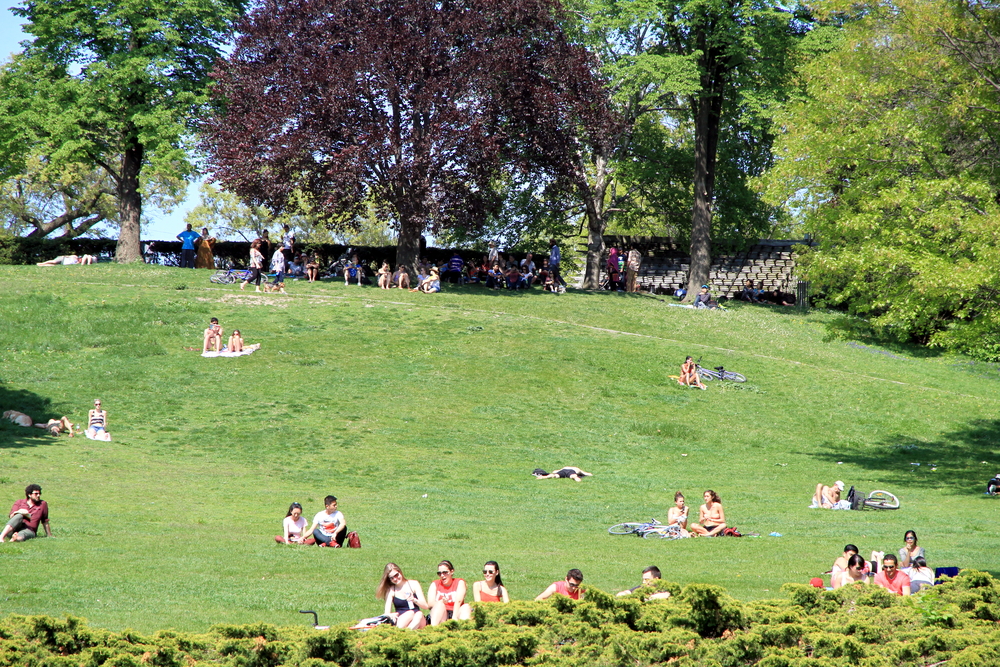 People Relaxing At High Park