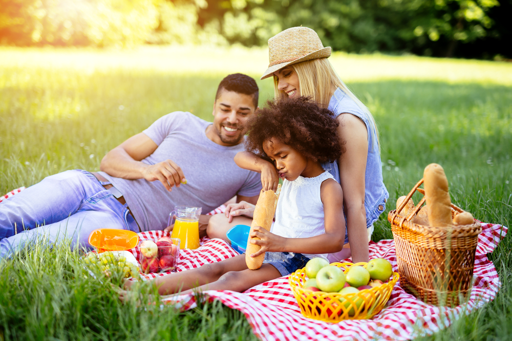 Unearthing Great Parks For Picnicking In Toronto OROGOLD Toronto