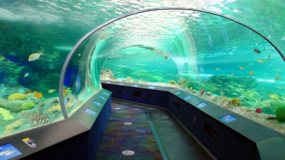RIPLEY’S AQUARIUM OF CANADA IS NOW A PART OF THE TORONTO CITYPASS